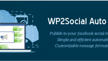 WP2Social Auto Publish